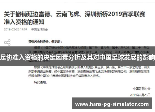 足协准入资格的决定因素分析及其对中国足球发展的影响 足协准入资格的决定因素分析及其对中国足球发展的影响