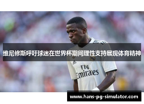 维尼修斯呼吁球迷在世界杯期间理性支持展现体育精神