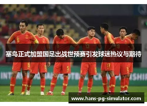 塞鸟正式加盟国足出战世预赛引发球迷热议与期待