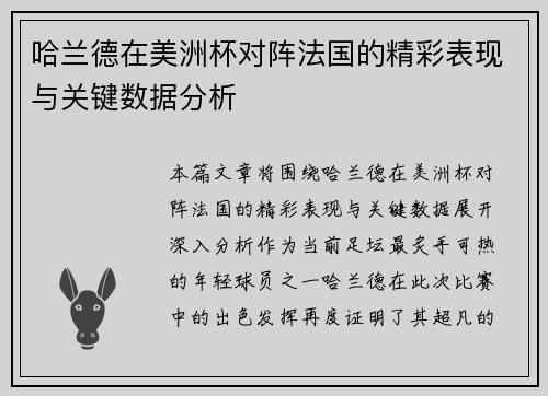哈兰德在美洲杯对阵法国的精彩表现与关键数据分析